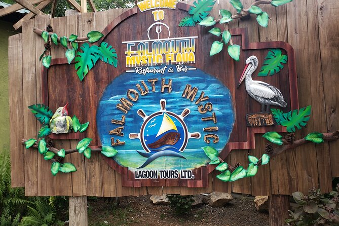 Glistening Waters Luminous Lagoon Tour from Montego Bay - Why Falmouth Mystic Lagoon lights up at all