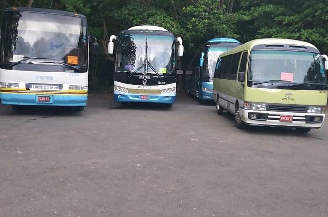Grand Palladium Lady Hamilton Transfers from Montego Bay Airport - Who Should Book This Transfer