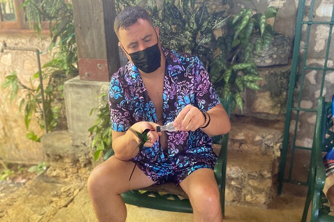 Great River Bamboo Rafting and Bird Sanctuary Combine Tour From Montego Bay - Limestone body massage from the river bed