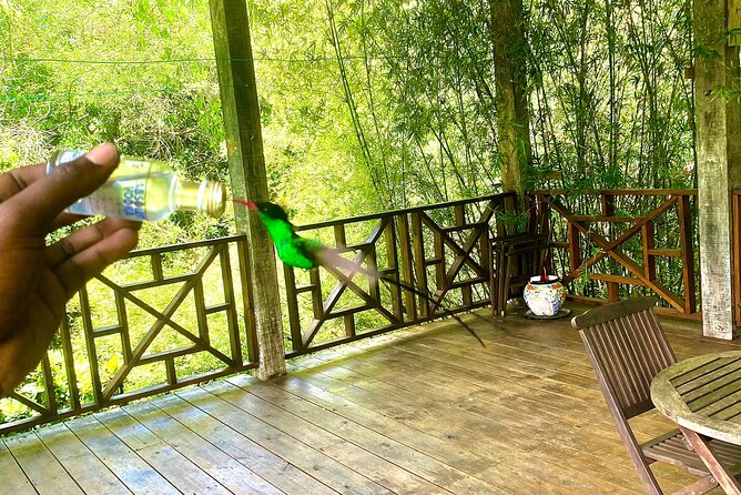 Great River Bamboo Rafting and Bird Sanctuary Combine Tour From Montego Bay - Price and value: is $120 per person worth it?