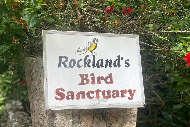 Great River Bamboo Rafting and Bird Sanctuary Combine Tour From Montego Bay - Timing: how the flow of the stops affects your enjoyment