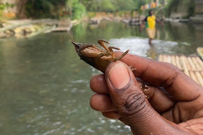 Great River Rafting - Limestone Foot Massage and ATV Rides From Montego Bay - Price and Value at $120, What You Get for a Tight Two Hours