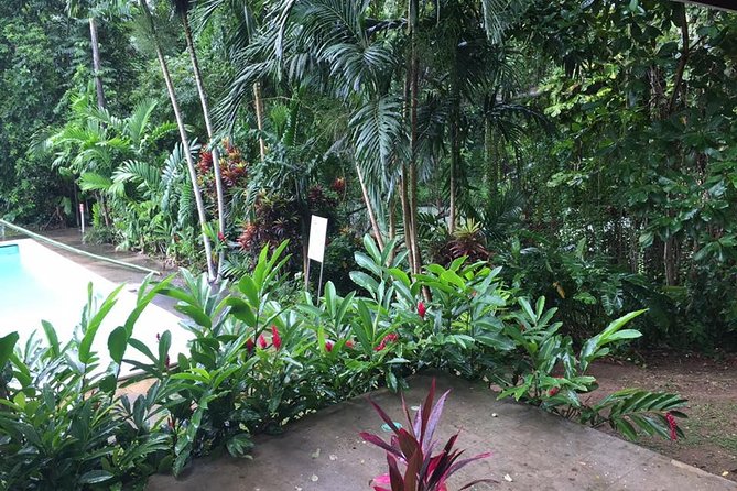 Half-Day Private Martha Brae Rafting Tour from Montego Bay - Price and Timing: What $140 Buys You in Real Terms