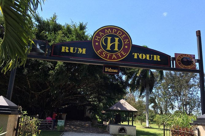 Hampden Estate Rum Tour and Lunch from Montego Bay - Key highlights you should know before you go