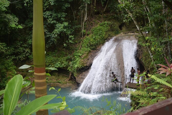 Horse Back Riding and Blue Hole From Montego Bay - Rio Bueno Stop: Neighborhood Views and Local Viewpoints