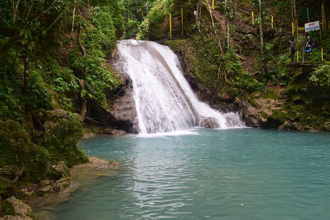 Horse Back Riding and Blue Hole From Montego Bay - The Operator Matters: Oneil Jamaica Excursions and the Human Touch