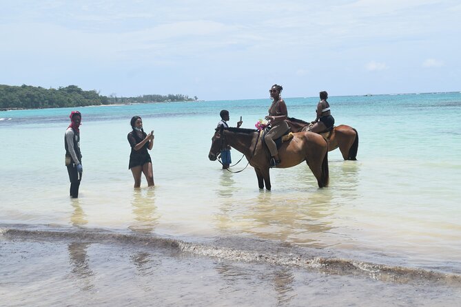 Horse Back Riding and Blue Hole From Montego Bay - Getting From Montego Bay: Pickup, Timing, and the Pace