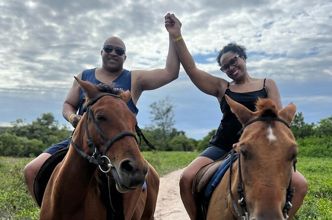 Horseback Ride and Swim Experience Montego with Transportation - Price and Value: What $110 Buys You in Real Life