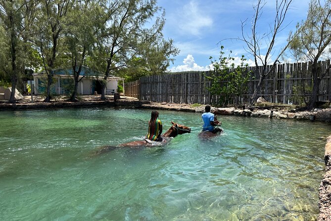 Horseback Ride and Swim Guided Tour from Montego Bay - Pickup, transport, and what to expect logistically
