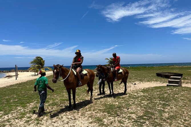Horseback Ride and Swim Guided Tour from Montego Bay - Who should book this horseback ride and swim