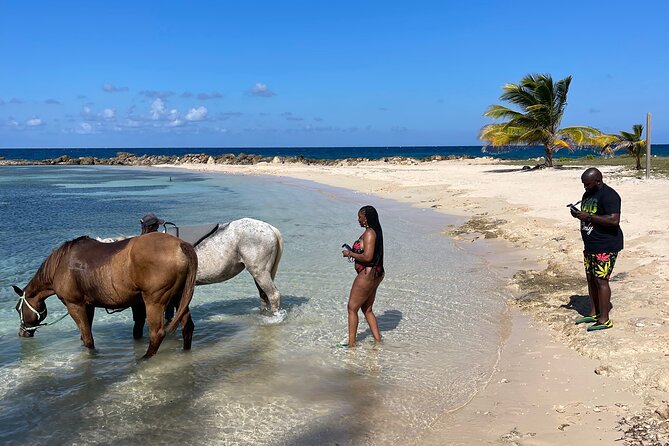 Horseback Ride and Swim Guided Tour from Montego Bay - Should you book this horseback ride and swim from Montego Bay?