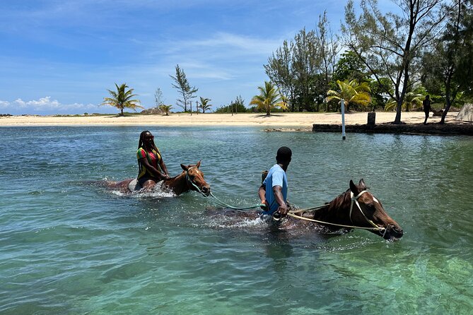 Horseback Ride and Swim Guided Tour from Montego Bay - Price and value: is $160 per person fair?