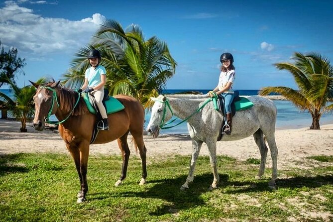 Horseback Ride and Swim Jamaica - From Countryside to Coast, Banana and Bee Farm Views