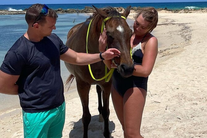 Horseback Ride and Swim Jamaica - Horses and Guides, Care You Can Feel
