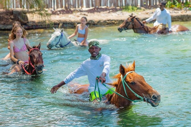 Horseback Ride and Swim Jamaica - Along the Beach, Then Straight Into the Water