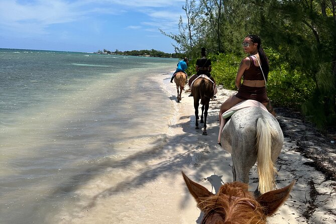Horseback Ride and Swim Tour In Montego Bay - Getting in the water with your horse