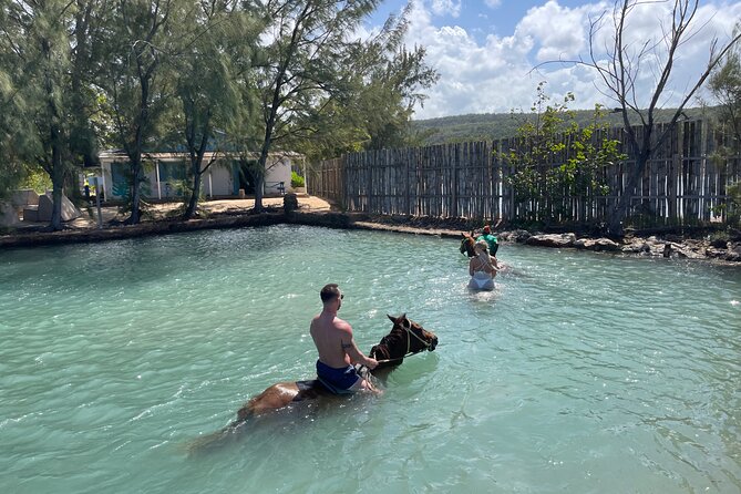 Horseback Ride and Swim Tour In Montego Bay - BOJ Adventure Tours and the people that make it work