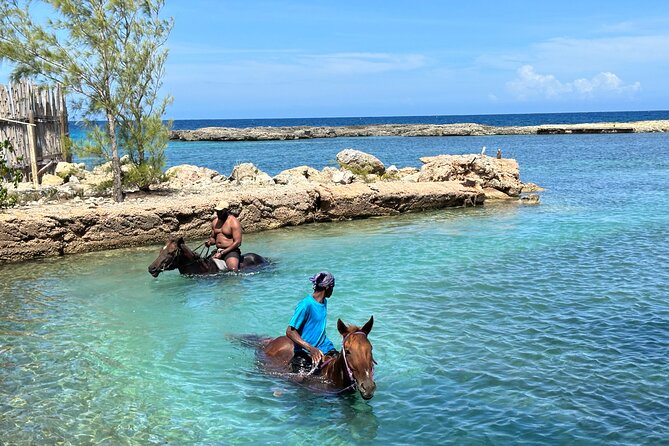 Horseback Ride and Swim Tour In Montego Bay - Price and value: is $170 a fair deal?
