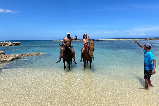 Horseback Ride and Swim Tour In Montego Bay - Private activity in name, group reality in practice
