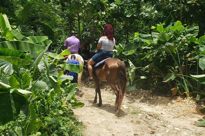 Horseback 'Ride N Swim' & Dunns River Falls from Montego Bay - Key Points That Make This Tour Worth Your Time