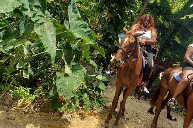 Horseback 'Ride N Swim' & Dunns River Falls from Montego Bay - The Horse Ride on Land and Through the Caribbean Water