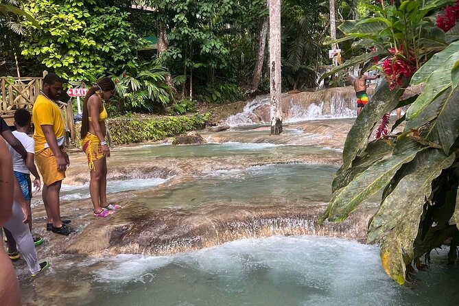 Horseback 'Ride N Swim' & Dunns River Falls from Montego Bay - Timing: A Half-Day Tour With Time to Breathe