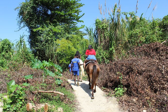 Horseback Ride & Swim Jamaica/Montego Bay - Beach Ride and the Caribbean Swim: Planning for Water Without Guesswork