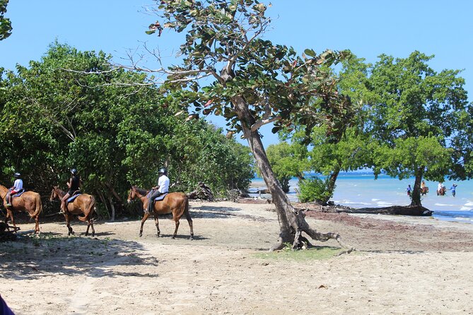 Horseback Ride & Swim Jamaica/Montego Bay - Guides, Horse Names, and Photo Help That Actually Matters