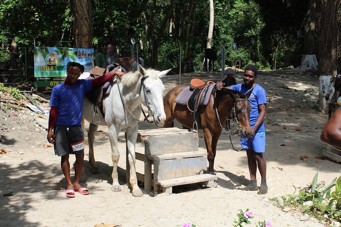 Horseback Ride & Swim Jamaica/Montego Bay - Price Check: Is $150 Worth It in Montego Bay?