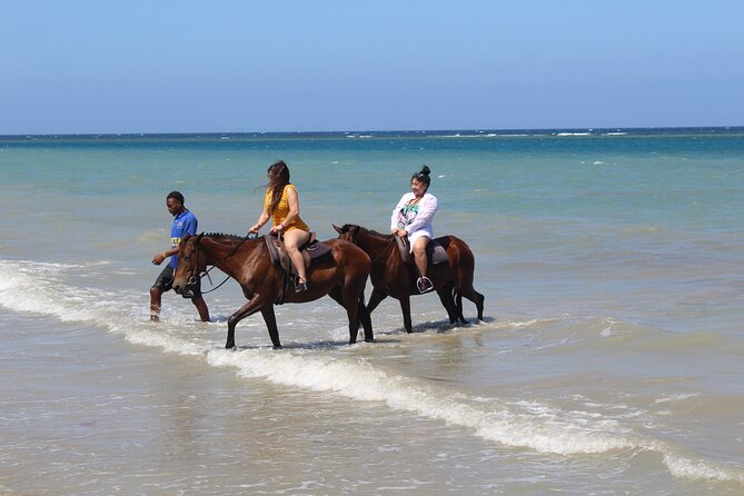 Horseback Ride & Swim Jamaica/Montego Bay - Booking Smart: Weather, Timing, and Keeping the Day Flexible