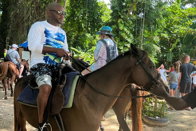 Horseback Riding Adventure in Jamaica - Entering the Water on Horseback: Why the Gradual Splash Matters