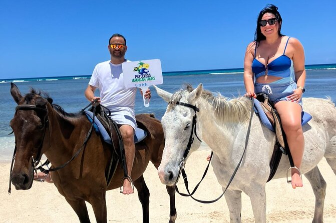 Horseback Riding and Swim Experience - The swim with the horses, the moment people remember