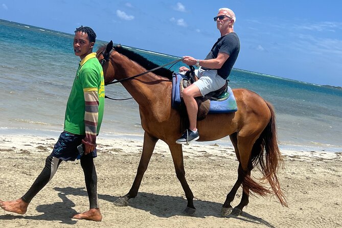 Horseback riding & bluehole secret falls from Montego Bay - Key Points at a Glance