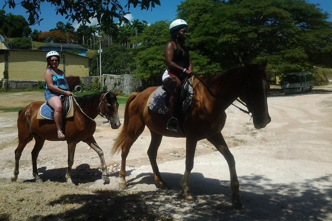 Horseback Riding Dunn's River Falls Adventure from Montego Bay - Key things to know before you go