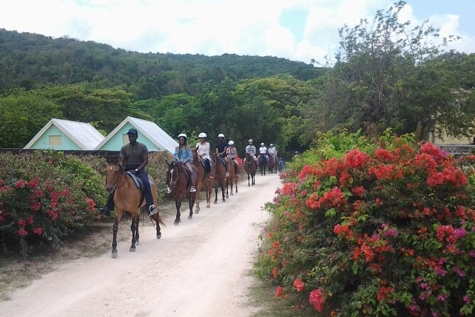 Horseback Riding Dunn's River Falls Adventure from Montego Bay - Price and value: what $186.35 really covers