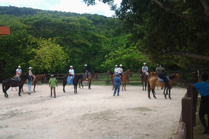 Horseback Riding Dunn's River Falls Adventure from Montego Bay - Weather and water conditions: the day can change fast