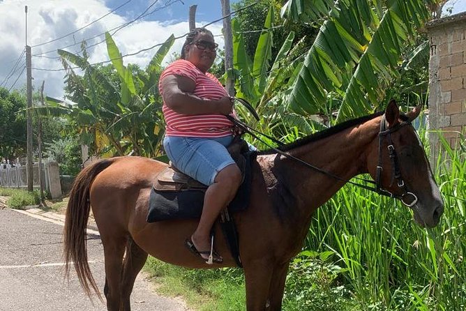 Horseback Riding from Montego Bay - The beach and the swim with your horse