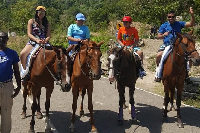 Horseback Riding from Montego Bay - Price and value: is $200 per person fair?