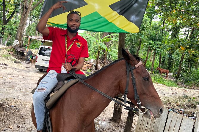 Horseback Riding In The Ocean from Montego Bay Private Transfer - Getting there the easy way, from hotel or cruise port to St Ann’s Bay