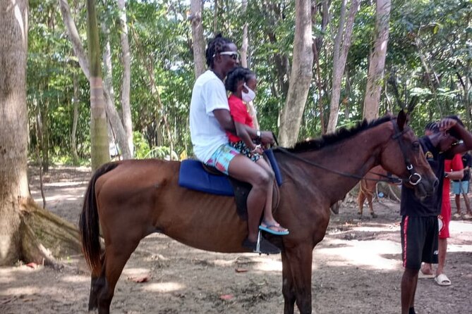 Horseback Riding plus Dunns River Falls Combo Private Tour - Who this private Dunn’s River plus horse ride is best for