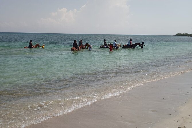 Horseback Riding plus Dunns River Falls Combo Private Tour - Small details that make the day better (and what to watch)
