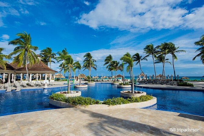 Hyatt Zilara Rose Hall Resort Private Airport Transfer - Communication That Reduces Airport Stress