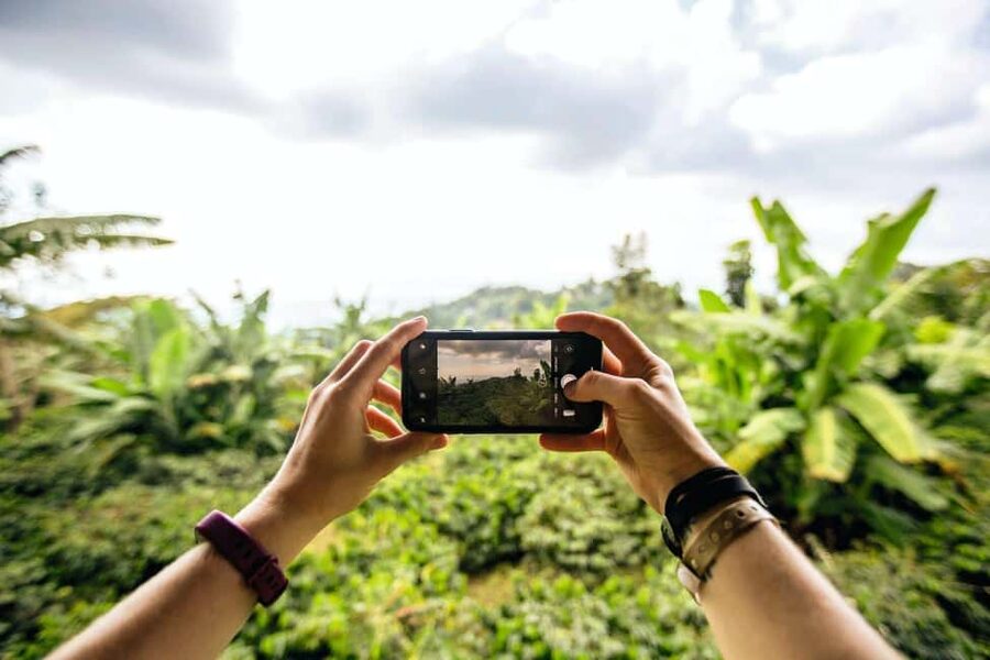 Jamaica: Blue Mountains Full Day Tour with Brunch & Lunch - Coffee farms and Blue Mountain tasting, what to expect