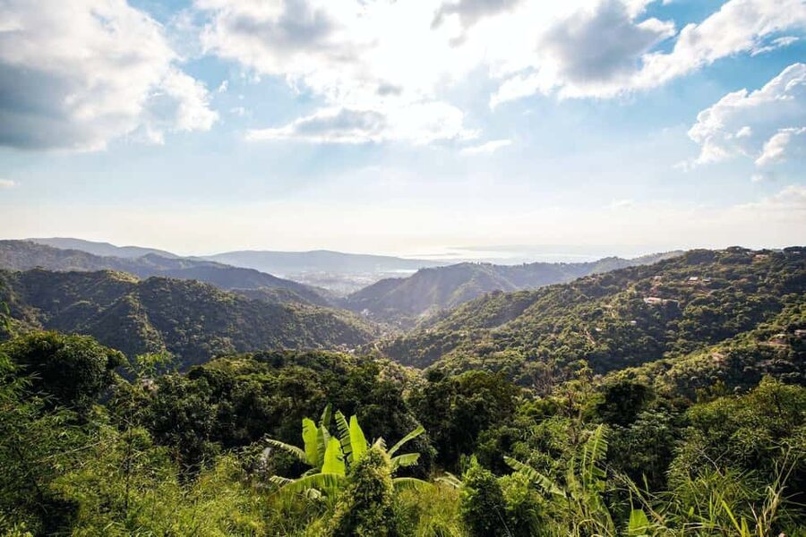 Jamaica: Blue Mountains Full Day Tour with Brunch & Lunch - Hotel pickup and the 10-minute show-up rule