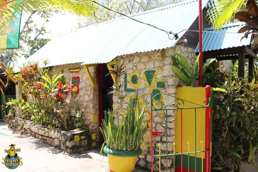 Jamaica: Bob Marley, Dunn's River Falls and Luminous Lagoon - How the day starts: hotel pickup, scenic drives, and private pacing