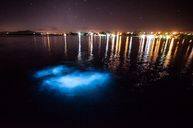 Jamaica Luminous Lagoon Private Tour with Transportation - Montego Bay Night Boat Ride, and Why the Lagoon Glows
