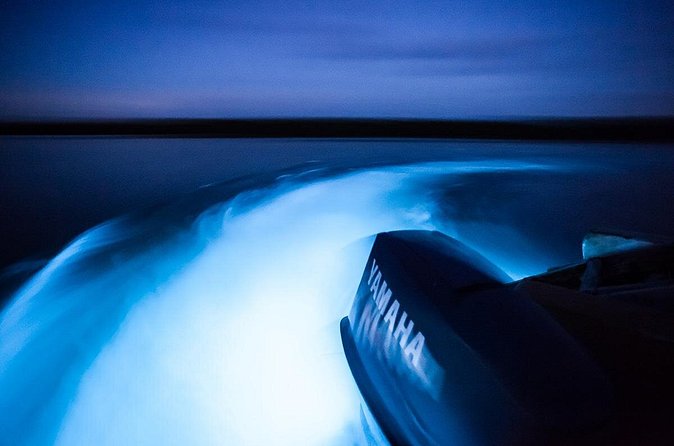 Jamaica Luminous Lagoon Private Tour with Transportation - Drink, Timing, and the Little Comforts That Make It Feel Easier