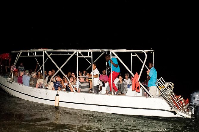 Jamaica Super Saver: Montego Bay & Rose Hall plus Mystic Lagoon Night Cruise - Guides and Drivers: Why They Make or Break This Tour