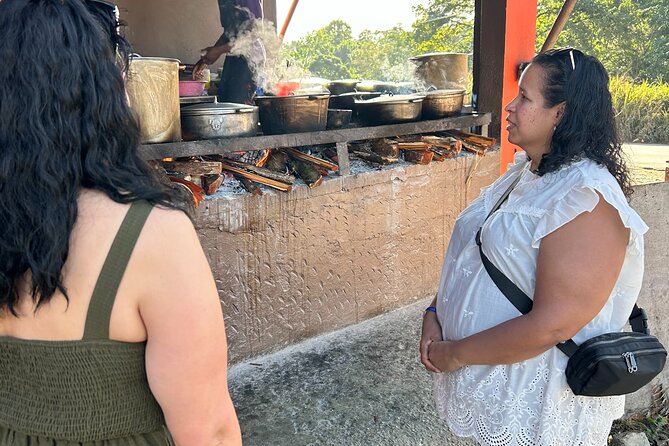 Jamaican Countryside Food Tasting Tour from Montego Bay - Group size, private tour feel, and who this suits best