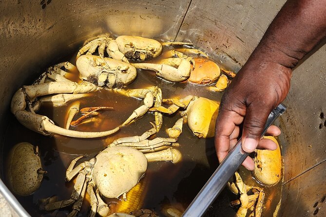 Jamaican Street Food and Rum Tasting Private Tour - What to Wear, What to Bring, and How to Eat Like a Local